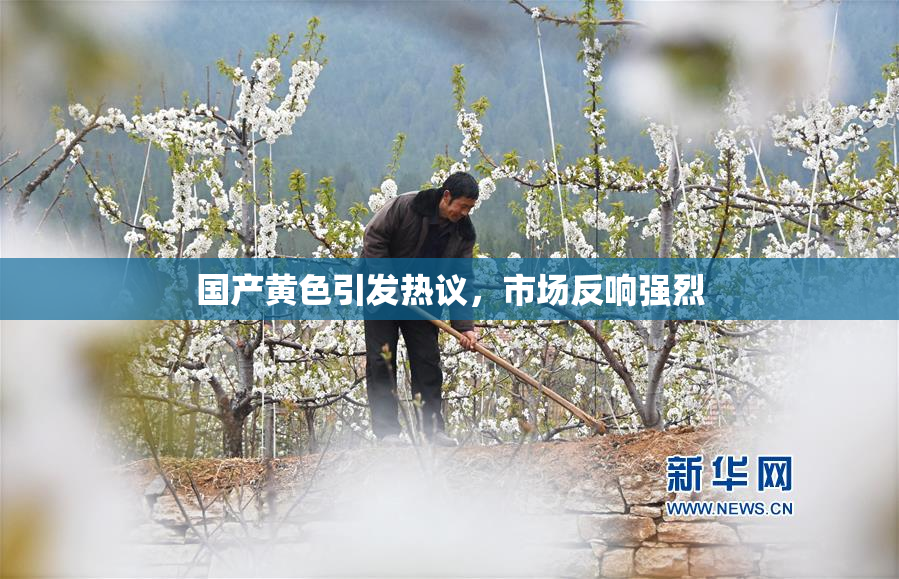 国产黄色引发热议，市场反响强烈