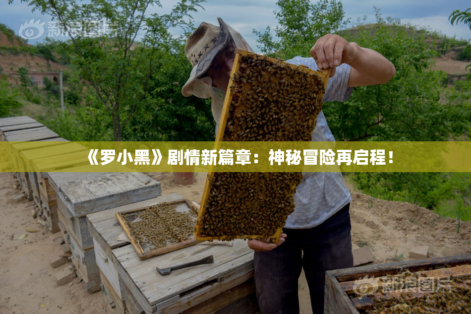 《罗小黑》剧情新篇章：神秘冒险再启程！