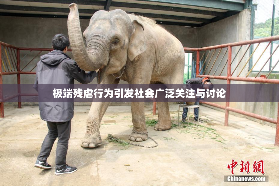 极端残虐行为引发社会广泛关注与讨论