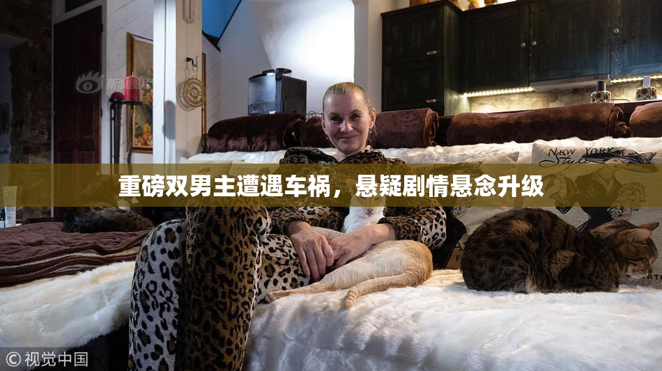 重磅双男主遭遇车祸，悬疑剧情悬念升级