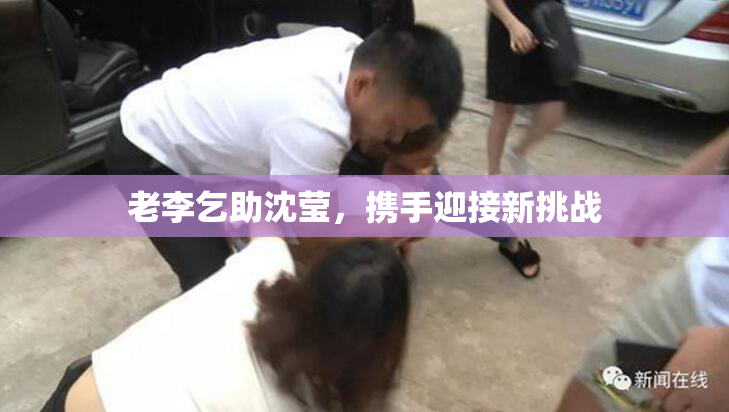 老李乞助沈莹，携手迎接新挑战