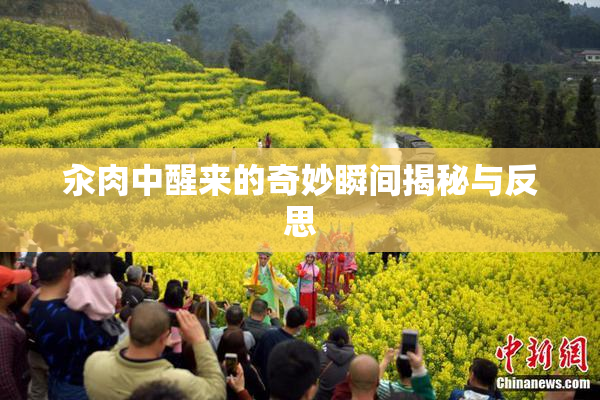 汆肉中醒来的奇妙瞬间揭秘与反思