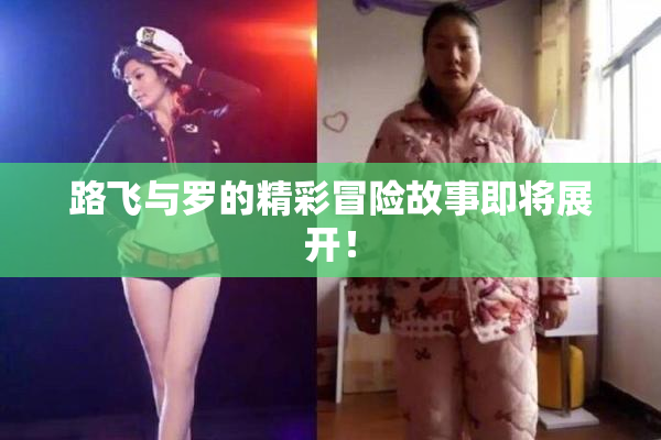 路飞与罗的精彩冒险故事即将展开！