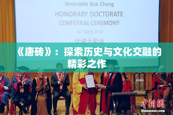 《唐砖》：探索历史与文化交融的精彩之作