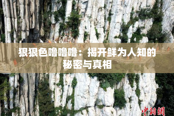 狠狠色噜噜噜：揭开鲜为人知的秘密与真相