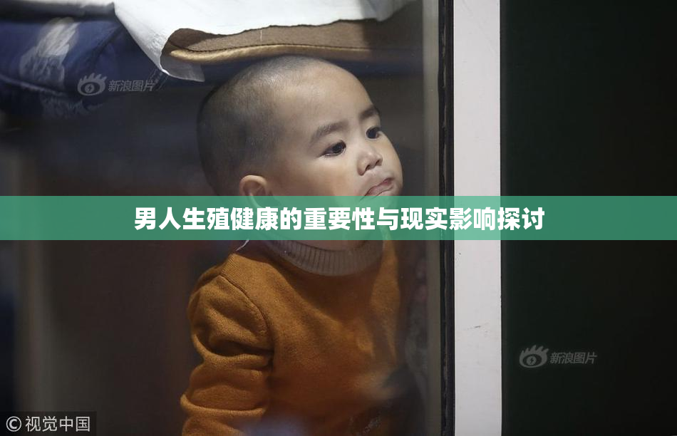 男人生殖健康的重要性与现实影响探讨