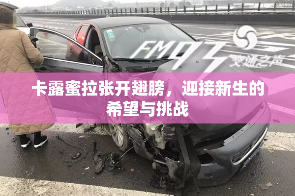 卡露蜜拉张开翅膀，迎接新生的希望与挑战