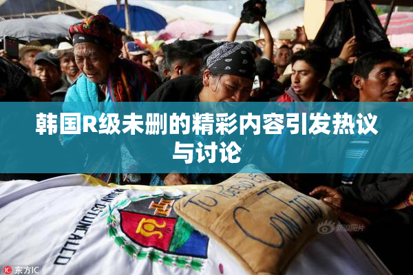 韩国R级未删的精彩内容引发热议与讨论