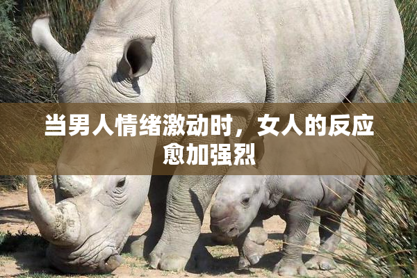 当男人情绪激动时，女人的反应愈加强烈