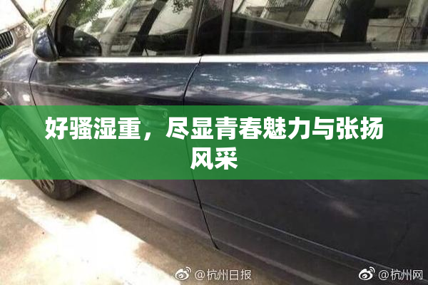 好骚湿重，尽显青春魅力与张扬风采
