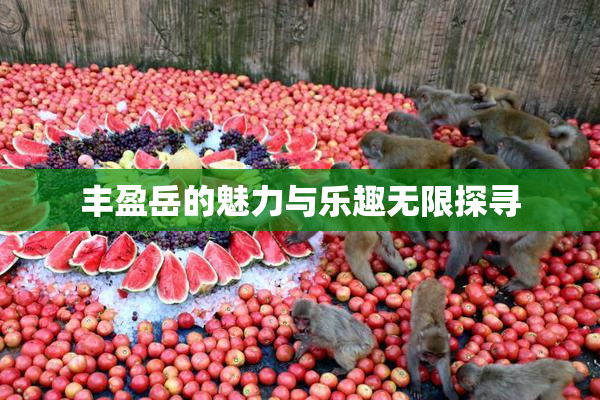 丰盈岳的魅力与乐趣无限探寻