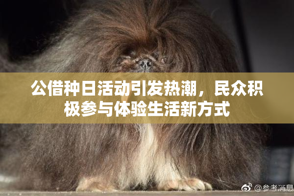公借种日活动引发热潮，民众积极参与体验生活新方式
