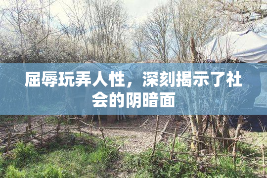 屈辱玩弄人性，深刻揭示了社会的阴暗面