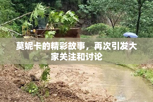莫妮卡的精彩故事，再次引发大家关注和讨论