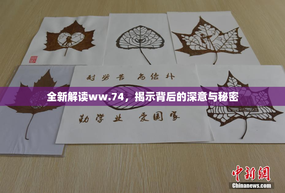 全新解读ww.74，揭示背后的深意与秘密