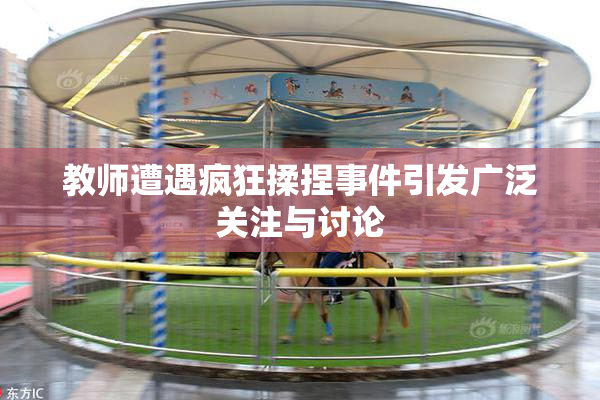 教师遭遇疯狂揉捏事件引发广泛关注与讨论