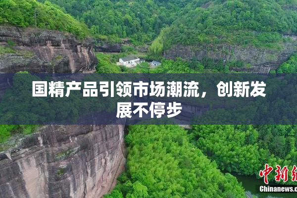 国精产品引领市场潮流，创新发展不停步