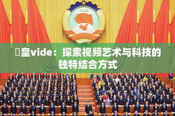嘼皇vide：探索视频艺术与科技的独特结合方式