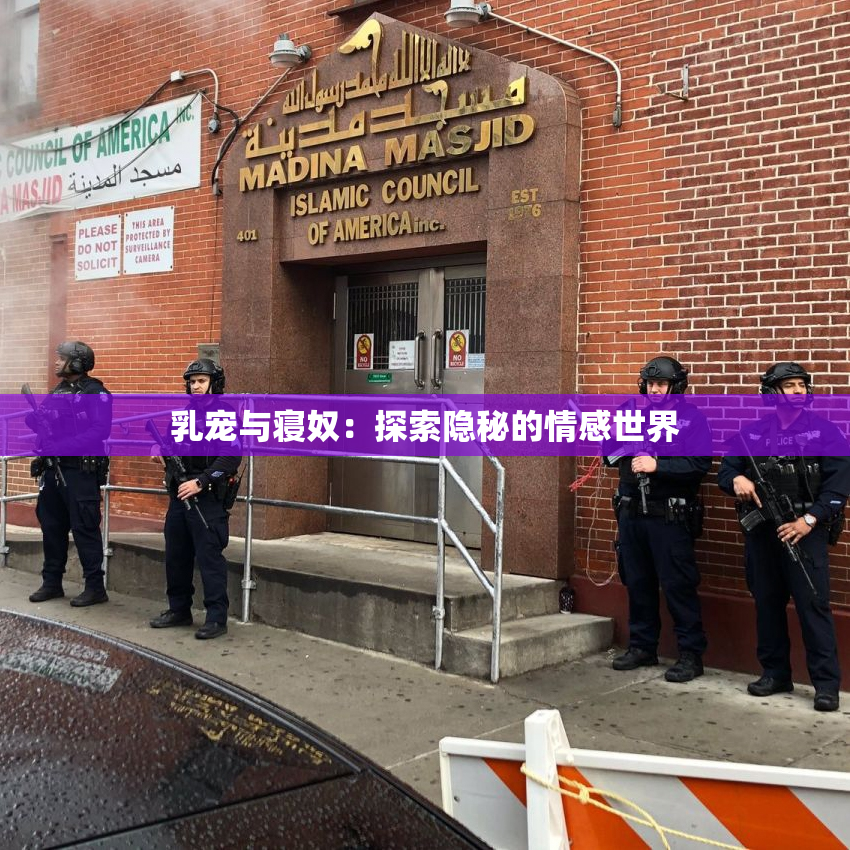 乳宠与寝奴：探索隐秘的情感世界