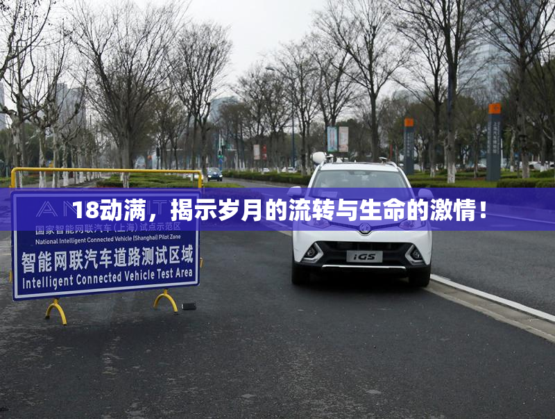 18动满，揭示岁月的流转与生命的激情！