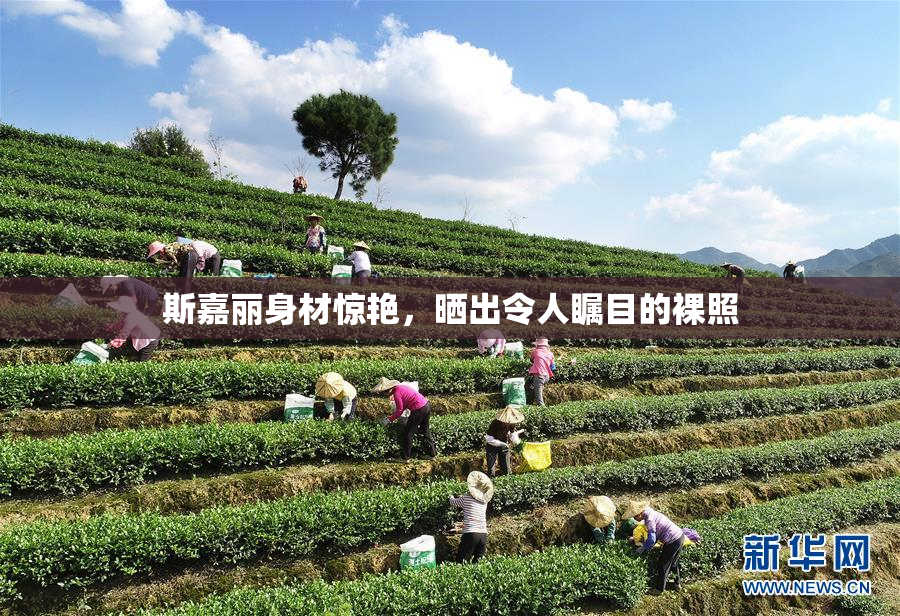 斯嘉丽身材惊艳，晒出令人瞩目的裸照