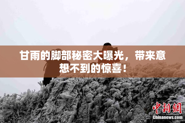 甘雨的脚部秘密大曝光，带来意想不到的惊喜！