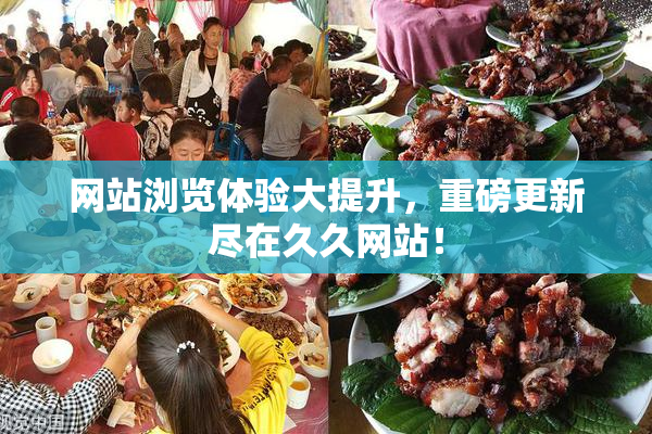 网站浏览体验大提升，重磅更新尽在久久网站！
