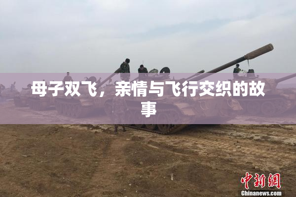 母子双飞，亲情与飞行交织的故事