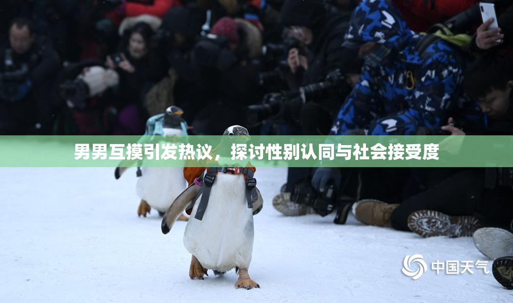 男男互摸引发热议，探讨性别认同与社会接受度