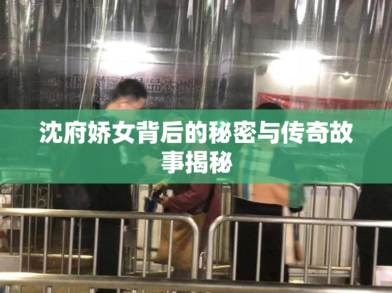 沈府娇女背后的秘密与传奇故事揭秘