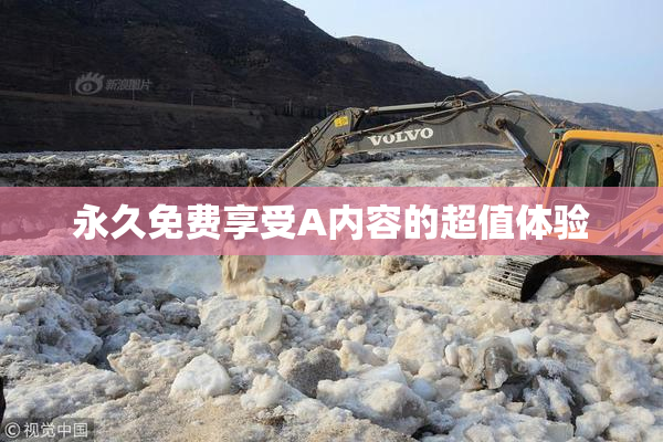 永久免费享受A内容的超值体验