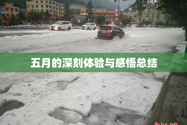 五月的深刻体验与感悟总结