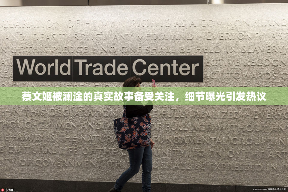 蔡文姬被澜淦的真实故事备受关注，细节曝光引发热议