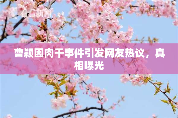 曹颖因肉干事件引发网友热议，真相曝光