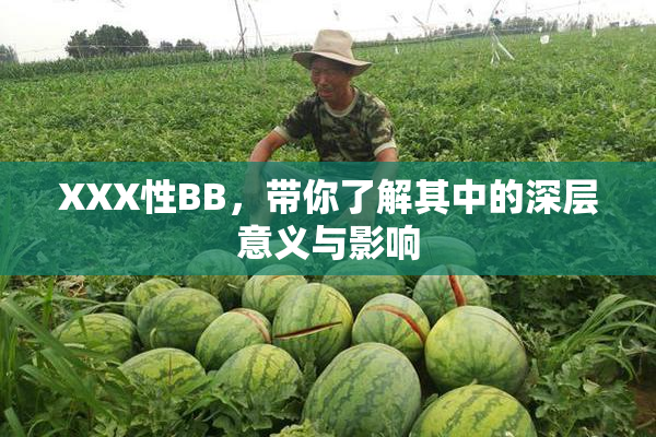 XXX性BB，带你了解其中的深层意义与影响