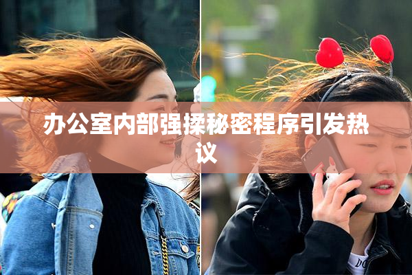 办公室内部强揉秘密程序引发热议
