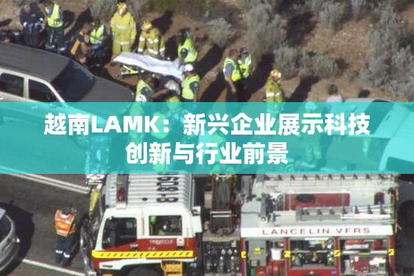 越南LAMK：新兴企业展示科技创新与行业前景