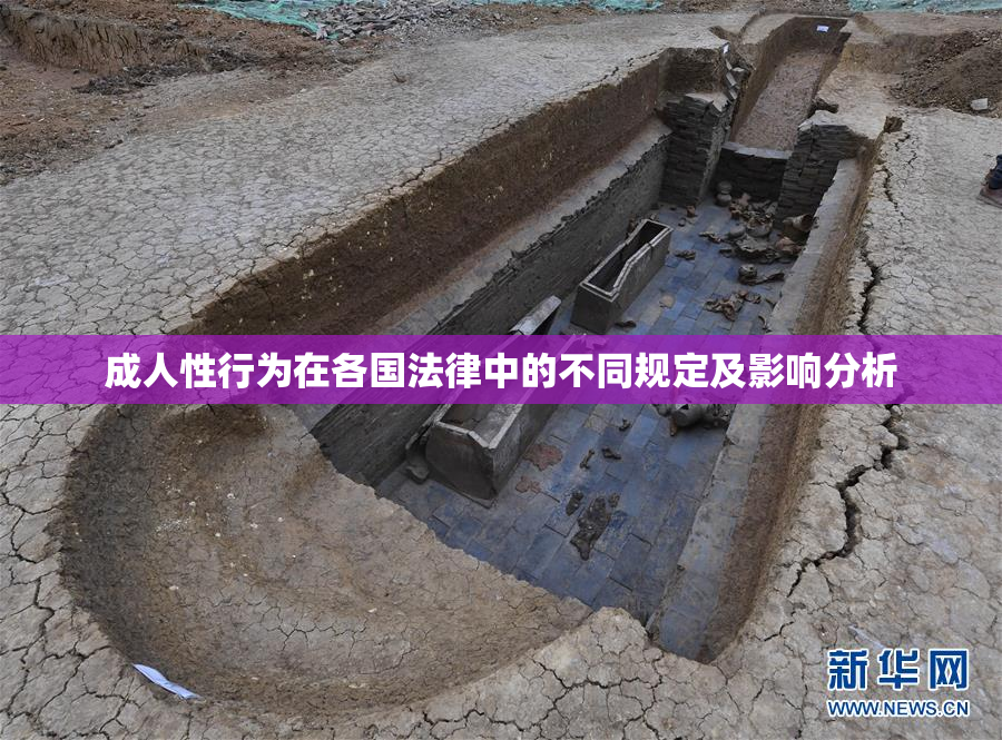 成人性行为在各国法律中的不同规定及影响分析