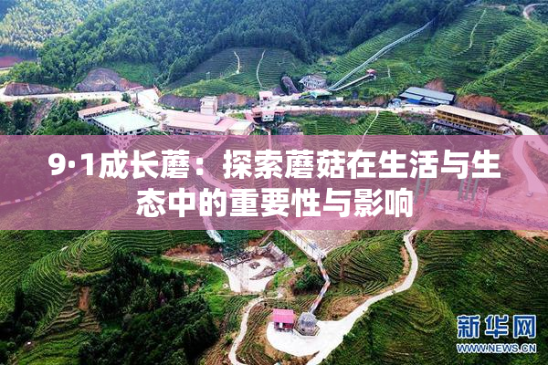 9·1成长蘑：探索蘑菇在生活与生态中的重要性与影响