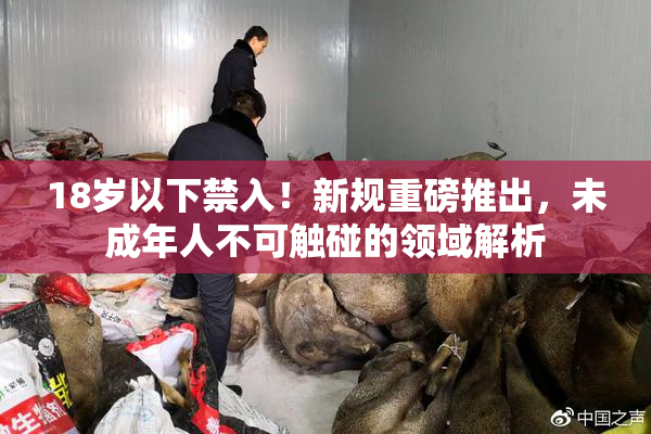 18岁以下禁入！新规重磅推出，未成年人不可触碰的领域解析
