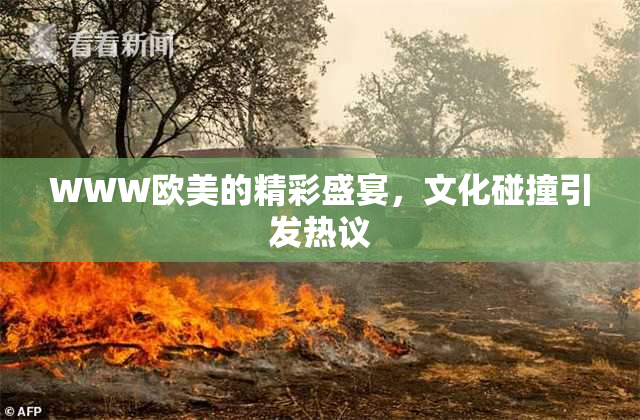 WWW欧美的精彩盛宴，文化碰撞引发热议