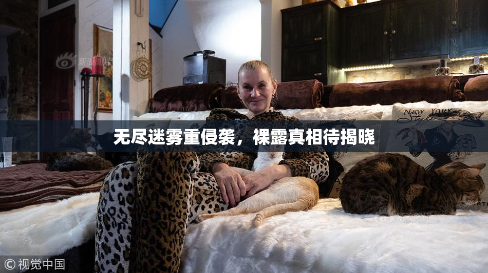 无尽迷雾重侵袭，裸露真相待揭晓