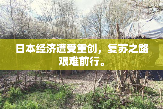 日本经济遭受重创，复苏之路艰难前行。