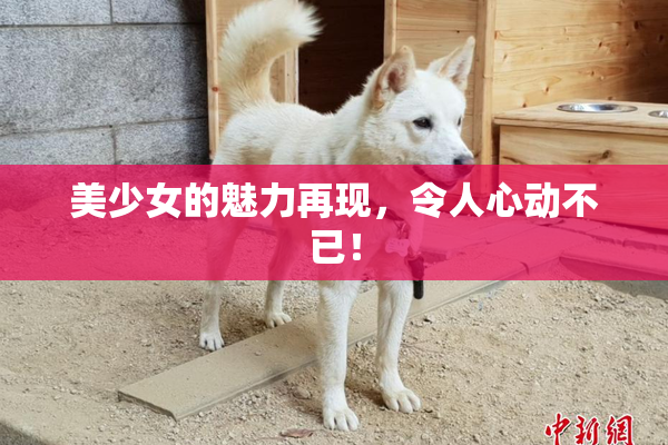 美少女的魅力再现，令人心动不已！