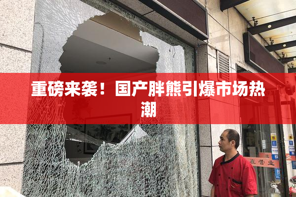 重磅来袭！国产胖熊引爆市场热潮