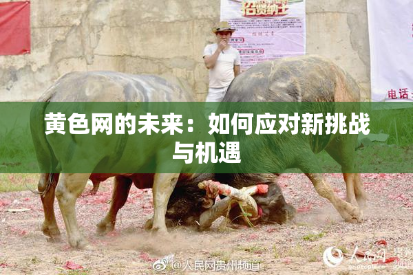 黄色网的未来：如何应对新挑战与机遇