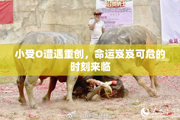 小受O遭遇重创，命运岌岌可危的时刻来临