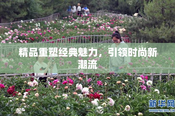 精品重塑经典魅力，引领时尚新潮流