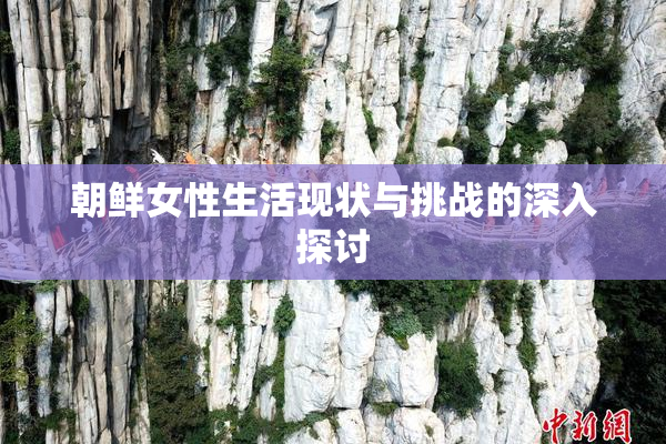 朝鲜女性生活现状与挑战的深入探讨