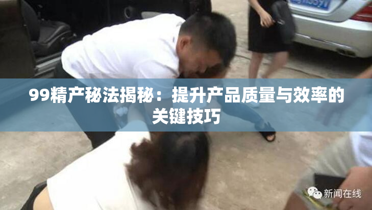 99精产秘法揭秘：提升产品质量与效率的关键技巧